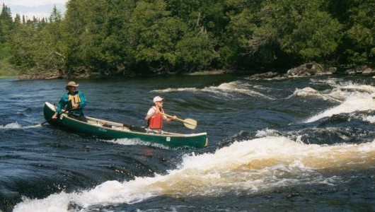 Activities - Canoe - Fishing